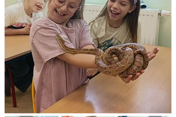 wąż7