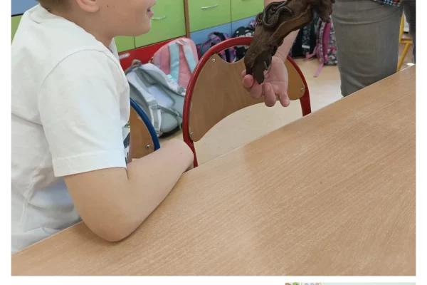 wąż8