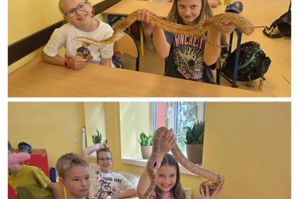wąż9